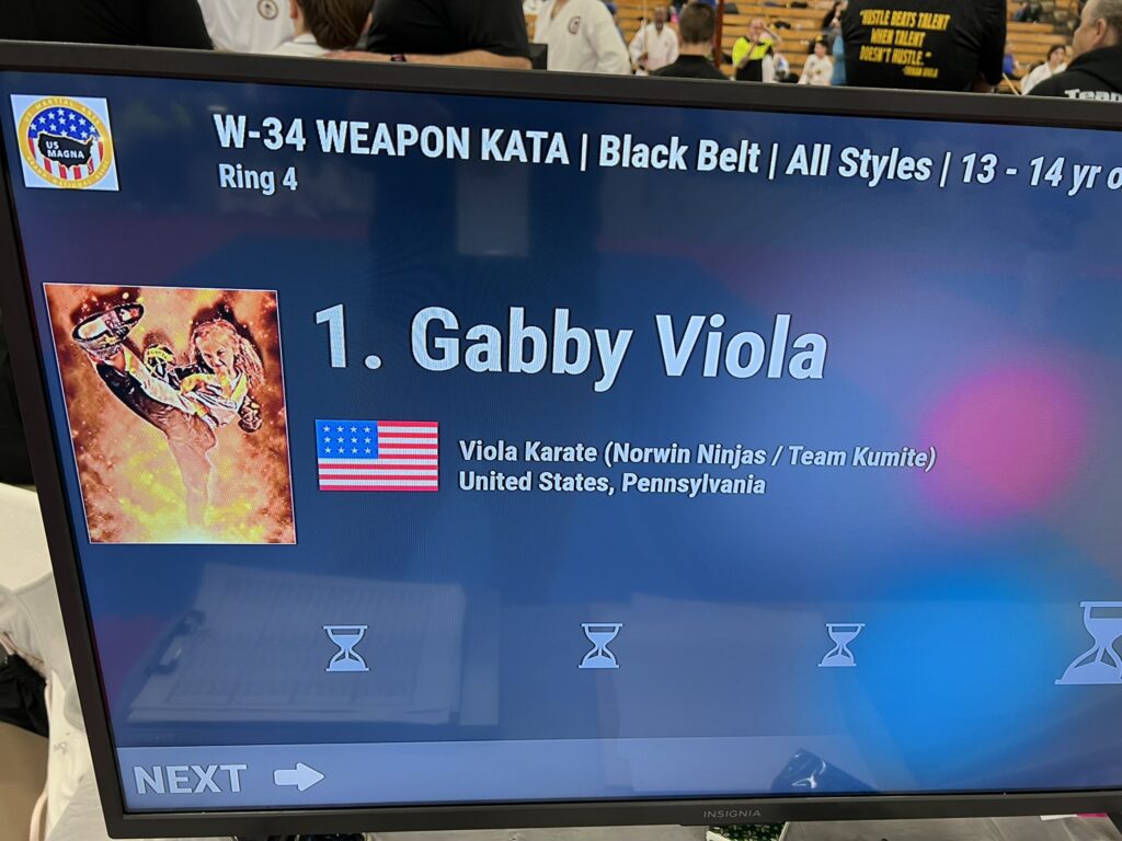 gabby viola